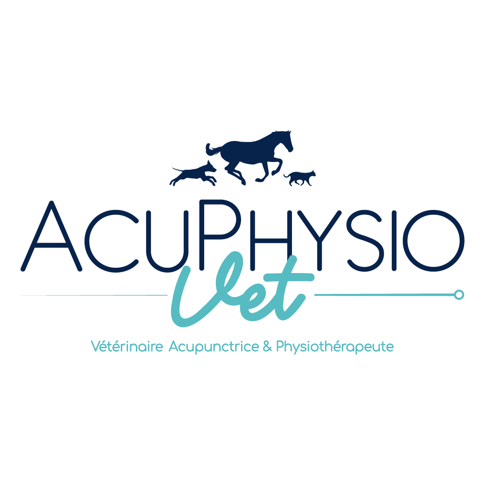 Acuphysiovet cette entreprise a été accompagnée par l'agence de communication SHEBAM - Logo en couleur