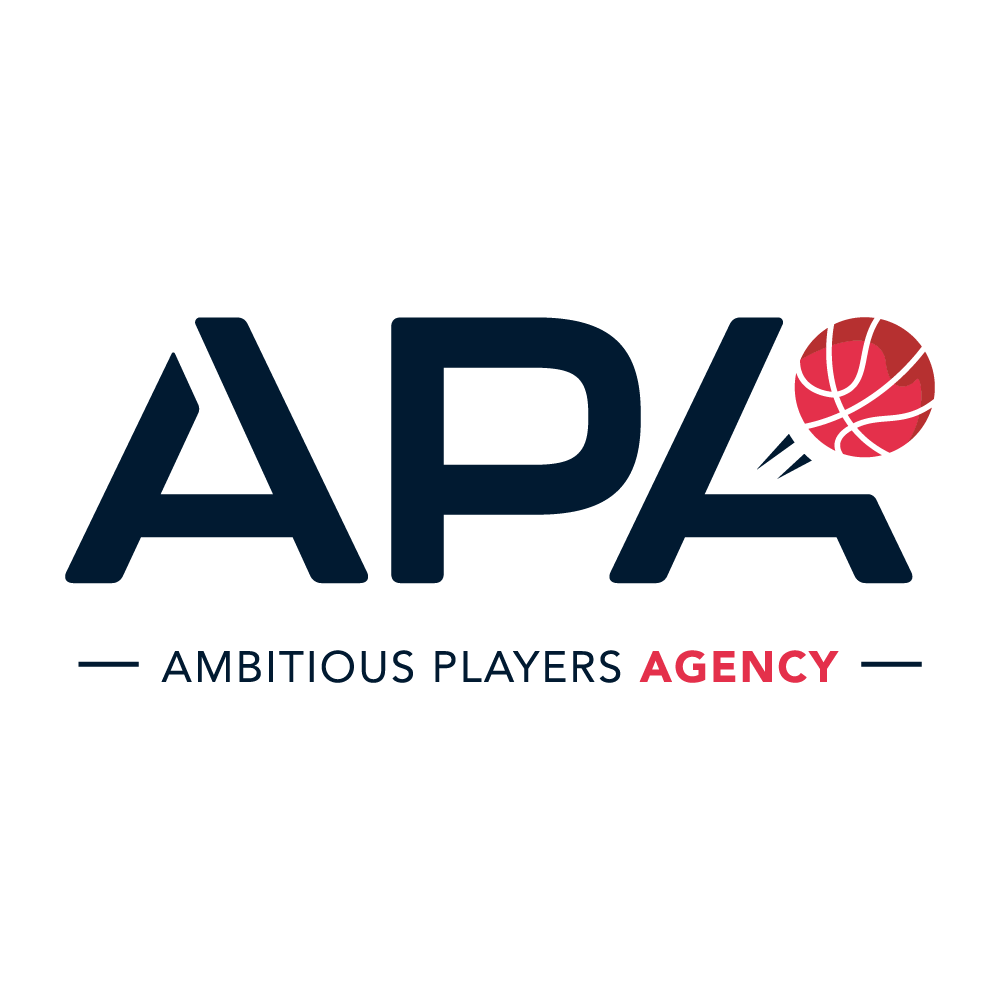 Agent Apa cette entreprise a été accompagnée par l'agence de communication SHEBAM - Logo en couleur