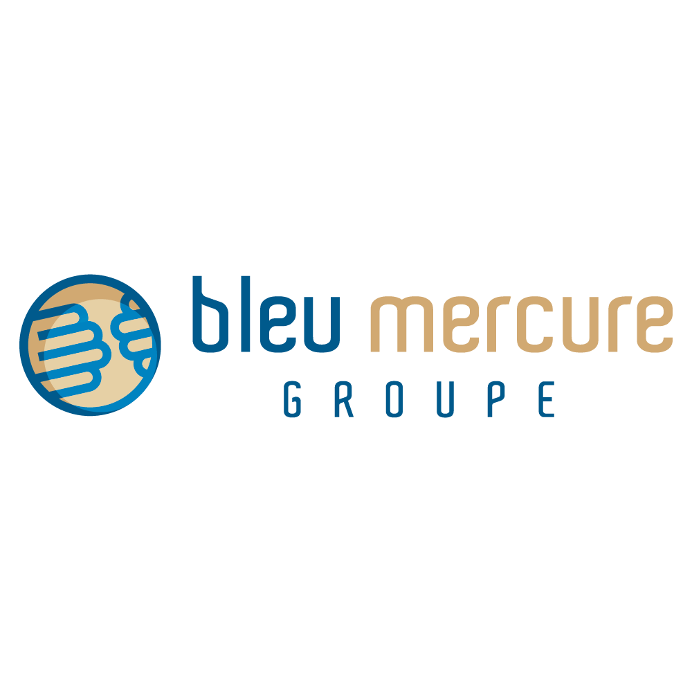Bleu Mercure cette entreprise a été accompagnée par l'agence de communication SHEBAM - Logo en couleur