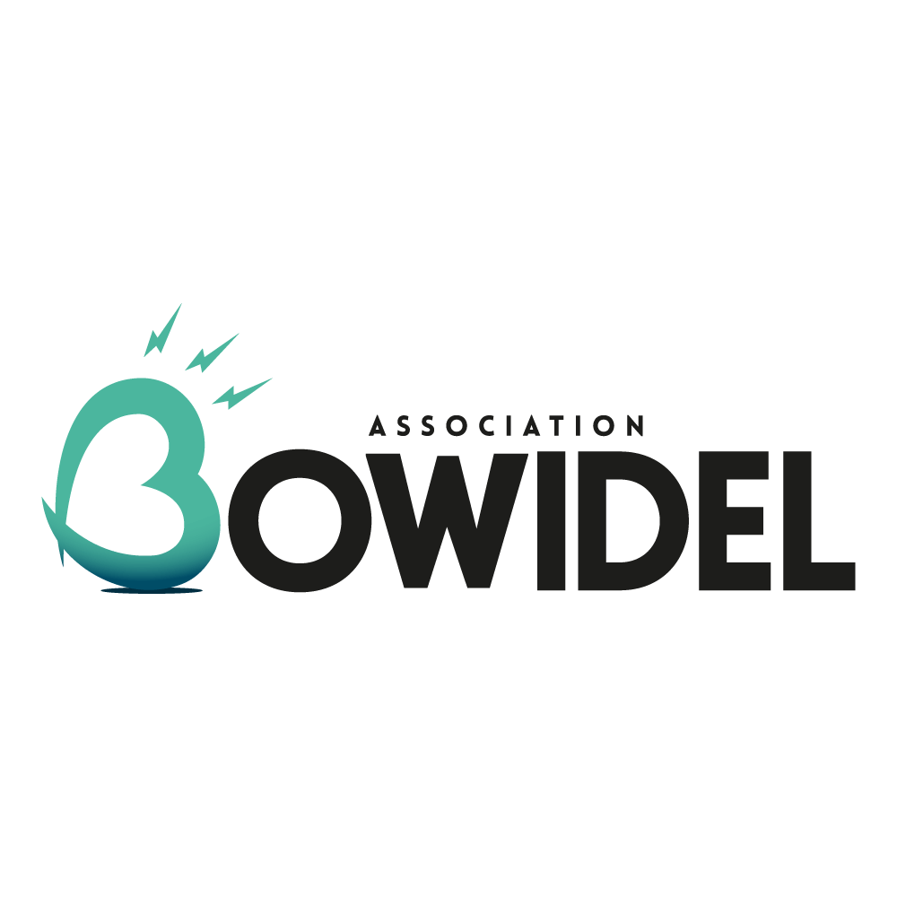 Bowidel cette association a été accompagnée par l'agence de communication SHEBAM - Logo en couleur