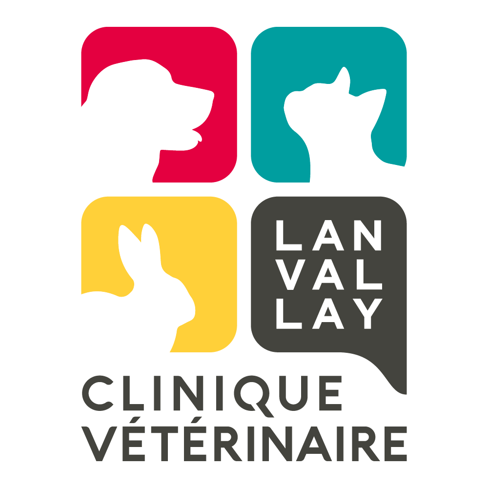 Clinique vétérinaire Lanvallay cette entreprise a été accompagnée par l'agence de communication SHEBAM - Logo en couleur