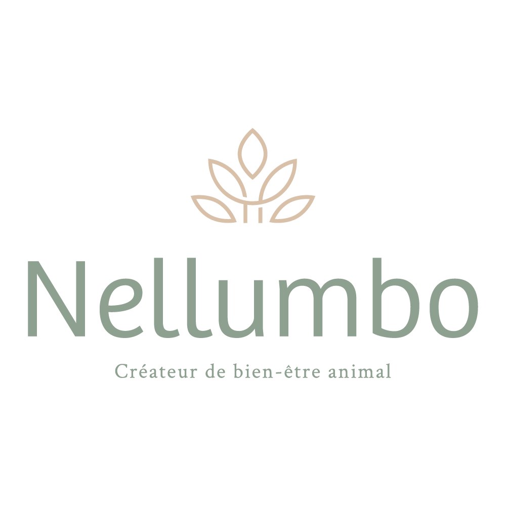 Nellumbo cette entreprise a été accompagnée par l'agence de communication SHEBAM - Logo en couleur