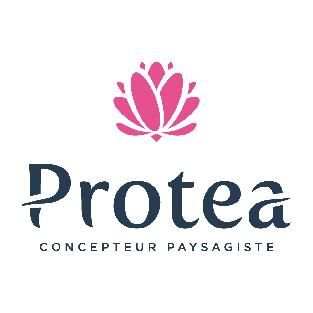Protea cette entreprise a été accompagnée par l'agence de communication SHEBAM - Logo en couleur