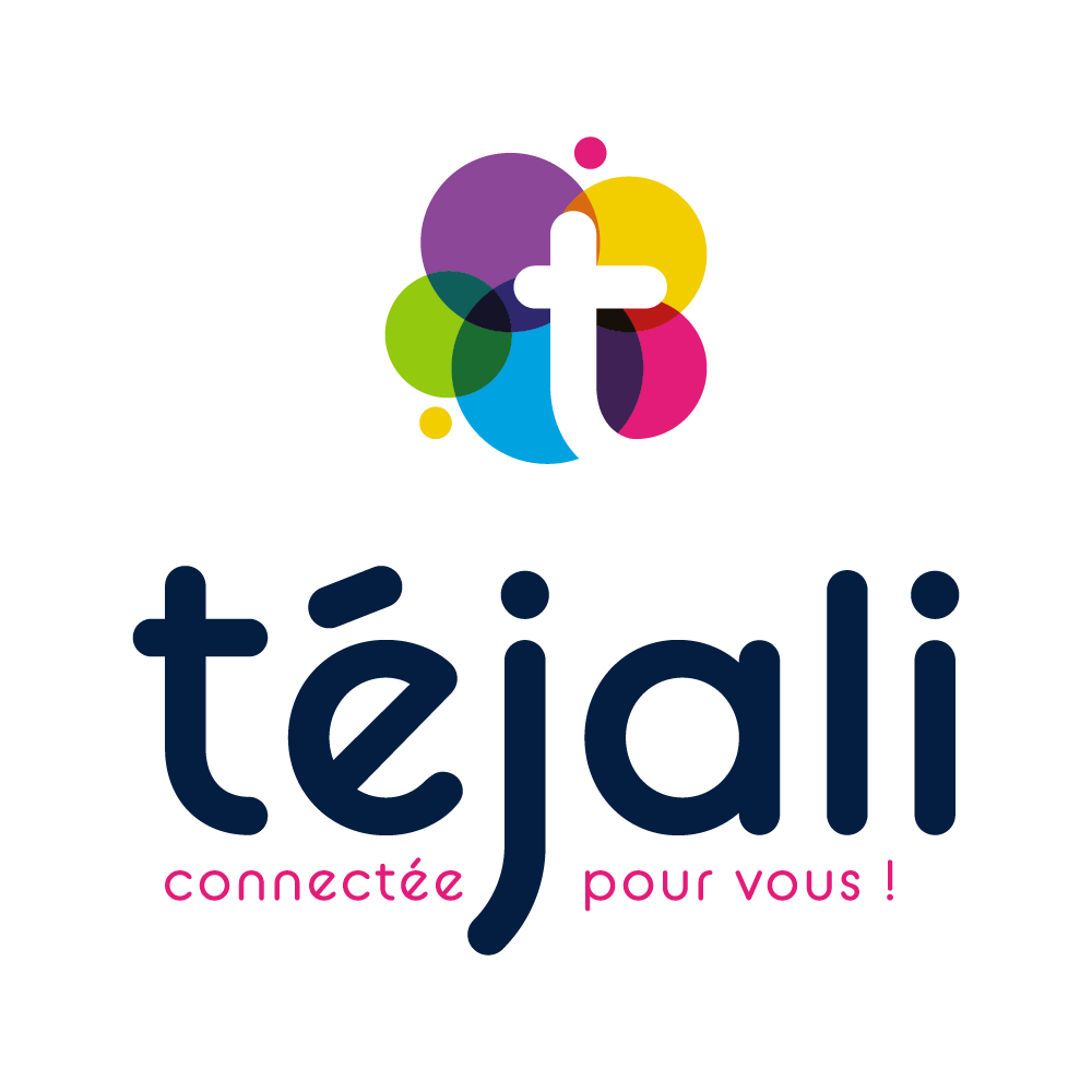 Téjali cette entreprise a été accompagnée par l'agence de communication SHEBAM - Logo en couleur