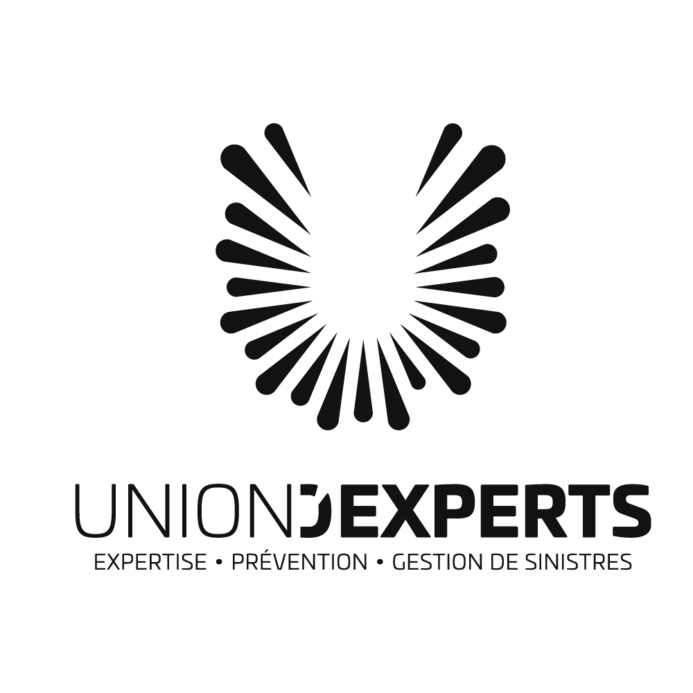 Union d'Experts cette entreprise a été accompagnée par l'agence de communication SHEBAM - Logo en noir